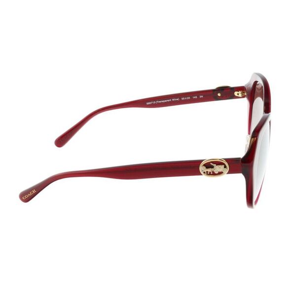 Coach 0HC8331 Geometric Full Rim Sunglasses - Picture 4 of 4